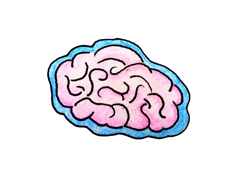 Brain
